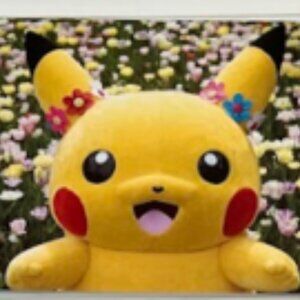 Pokémon Pikachu Massive Outbreak 2017 Postcards (Framed) – Japan Exclusive Set